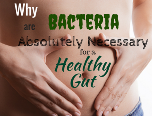 More Bacteria? Why Bacteria Are Absolutely Necessary for a Healthy Gut